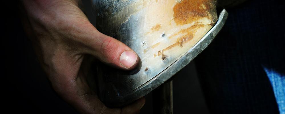 Accredited HorseShoeing by Al Agnew of Colorado