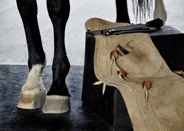 Get the ABarA Brochure