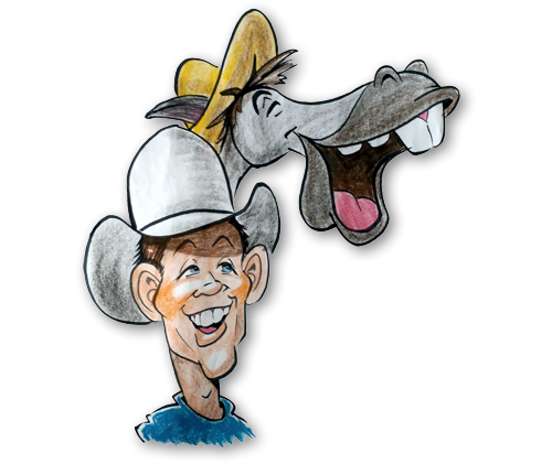 Get Your Horse on his next Step to Success