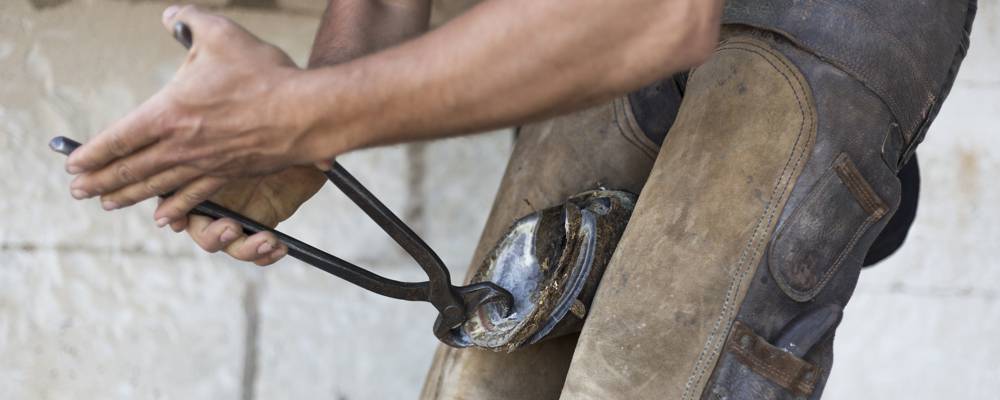 Certified Farrier Al Agnew